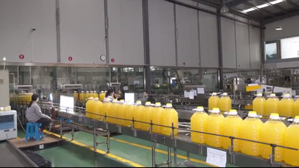 油訊包裝制品的行業(yè)現(xiàn)狀與發(fā)展前景